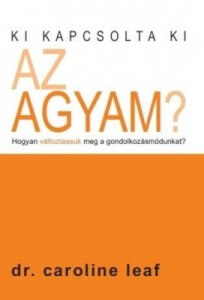 Ki kapcsolta ki az agyam
