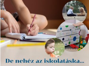 Andi táska